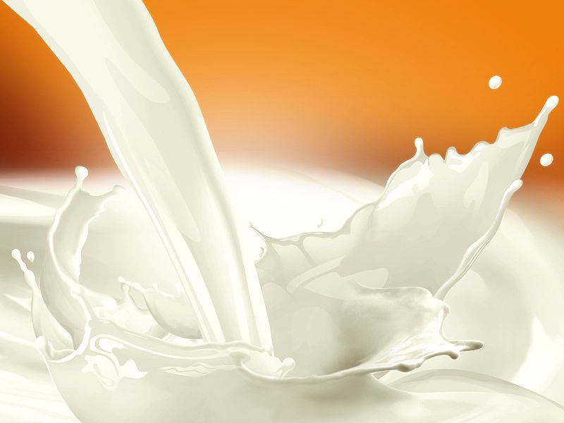 Milk-and-Dairy-Recruitment-Agency