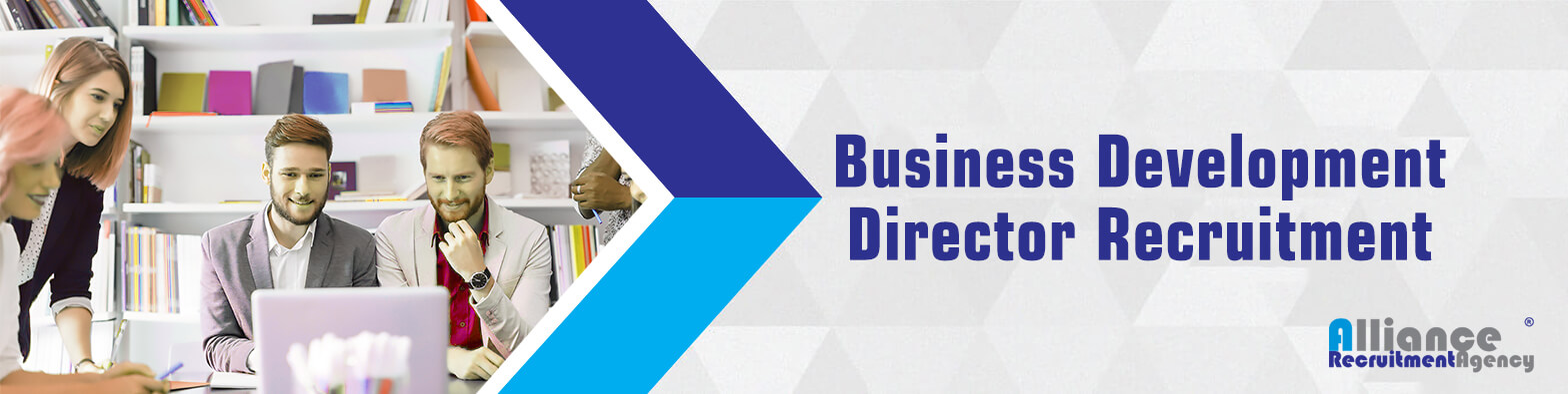 Business Development Director Recruitment | Communications Director